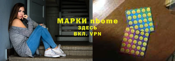 молекула духа Пестово