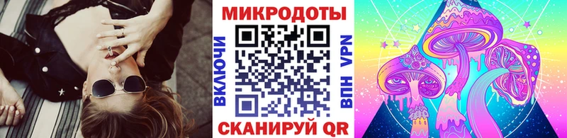 купить наркотик Чекалин Галлюциногенные грибы Cubensis